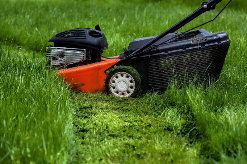 Косить газон осенью. Mow the grass. Homemade Lawn Mower. Яркая картинка приусадебного участка в Солнечный день газонокосилка.