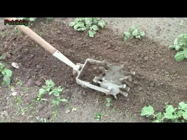 Как быстро прополоть картошку