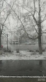 Погода на апрель ветер