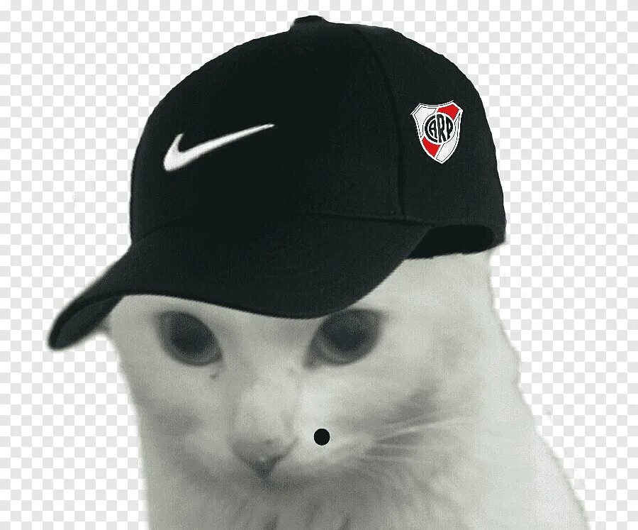 Cap cat видео