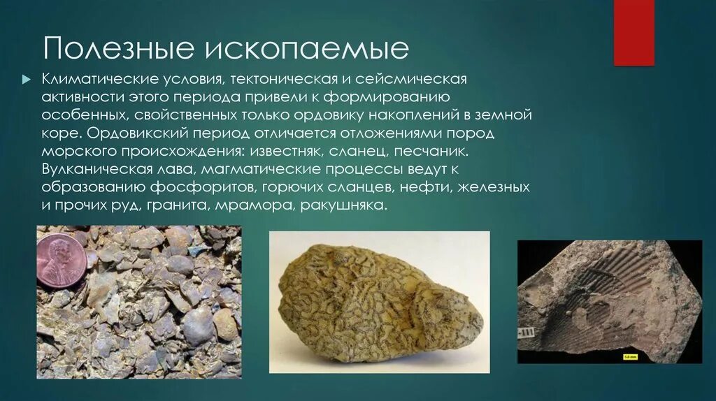 Как образовывались полезные. Полезные ископаемые в период ордовик. ордо́викский пери́од полезные ископаемые. полезные ископаемые ордовикского периода. ордовикский период ископаемые.