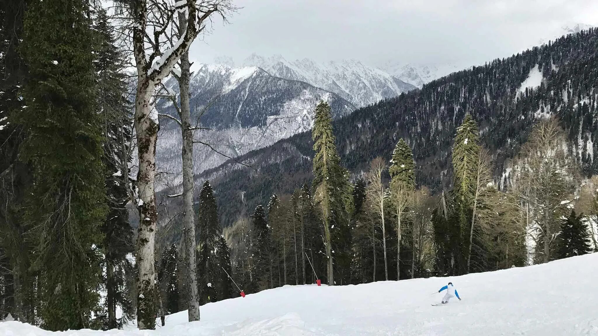 Красная поляна сочи. Снег в красной поляне. Зима в сочи фото. Красная поляна погода зимой. Красная поляна погода зимой.