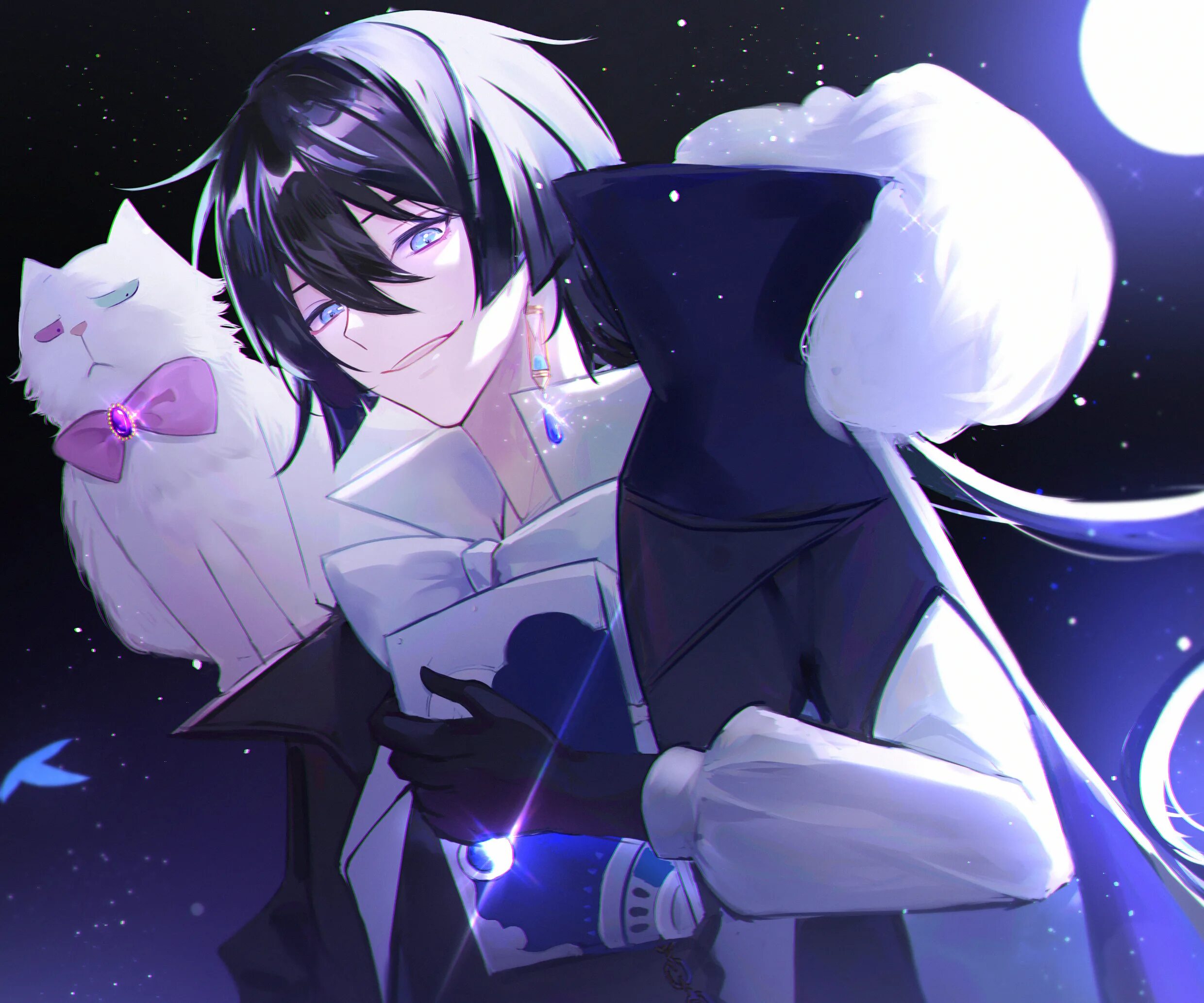 Case of vanitas