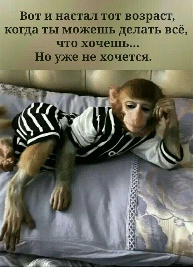 Когда настанет тот самый день