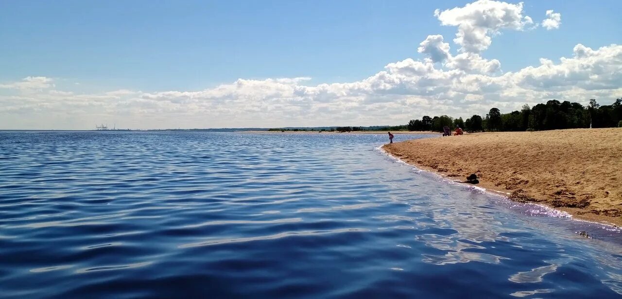 Ижора СПБ пляж. Большая Ижора пляж. Большая Ижора залив. Пляж большая Ижора финский залив. Большая ижора спб