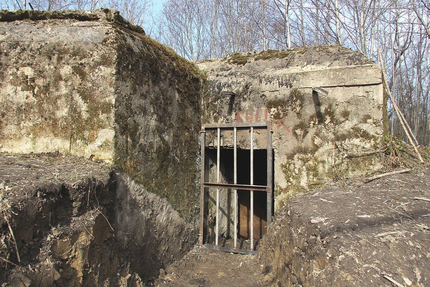 Дот открытие. Дот открытие. Музей в купчино. Immortal treasure 1 2015. Рубеж обороны ижора.