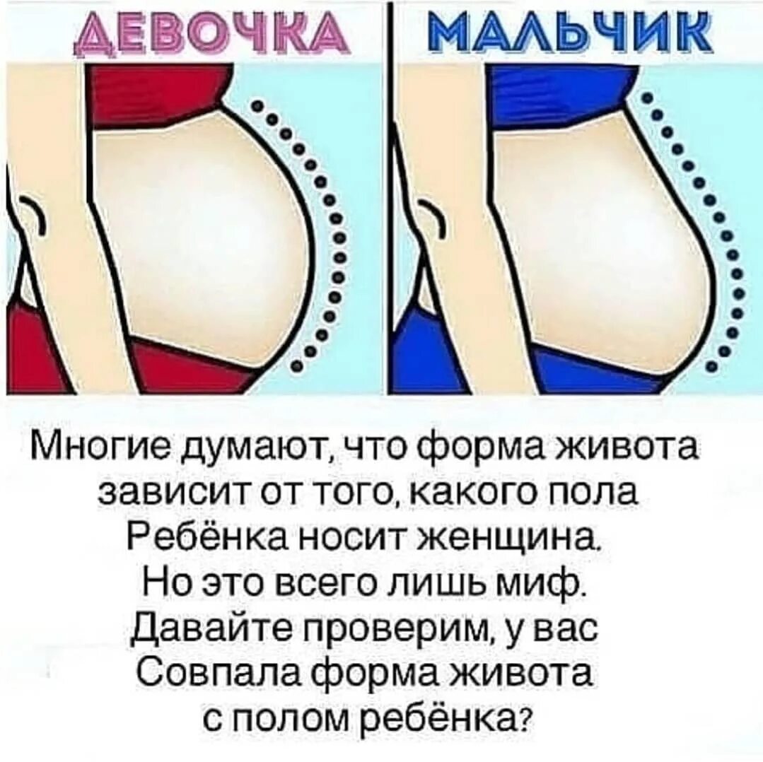 Как отличить беременный живот. По форме живота определить пол ребенка. формс живота и пол ребенка. пол ребенка по животику. форма живота с мальчиком и девочкой.