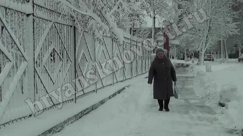 Погода в ноябре в новозыбкове
