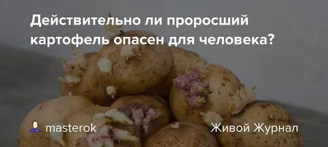 Почему плохо всходит картофель что делать