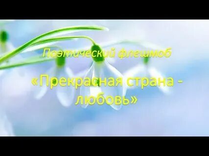 Песня любовь прекрасная страна