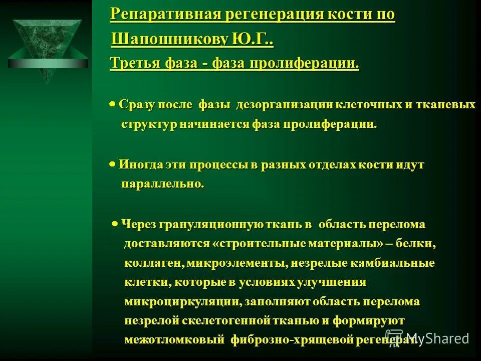 Регенерация тканей человека. Проблема регенерации. Проблема регенерации. Проблема регенерации. Виды патологической регенерации.