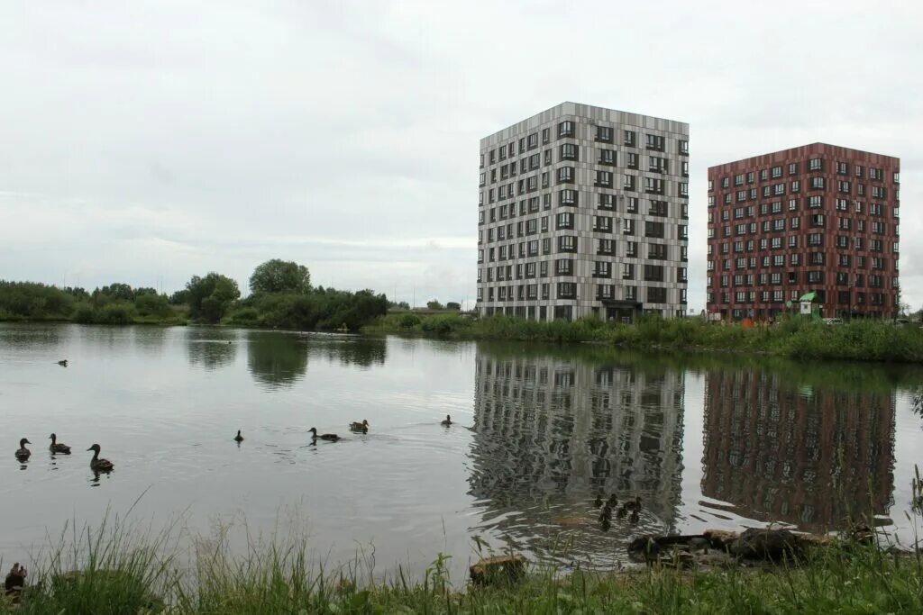 Соседская вода. Чистые пруды Великий Новгород. Парк чистые пруды Великий Новгород. Чистые пруды Великий Новгород микрорайон. Парк Удальцовские пруды.