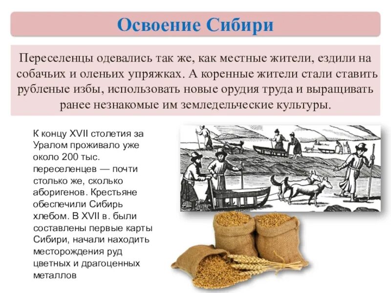 Когда появилось первое тесто. Освоение Сибири. Освоение русскими Сибири сообщение. Доклад на тему освоение Сибири. Основание Сибири сообщение.