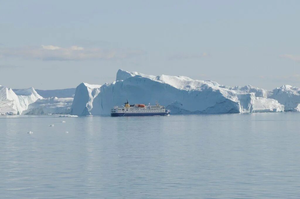 Море баффина океан. Море Баффина. Фауна Баффина море. Море Баффина межостровное.