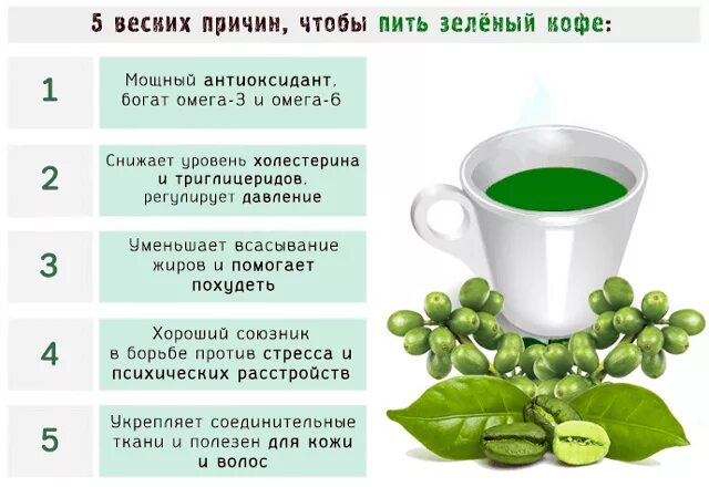 Когда нужно пить чай. Чашка зеленого чая. Полезный зеленый чай. Можно ли пить зеленый чай. Зеленый чай понижает сахар.
