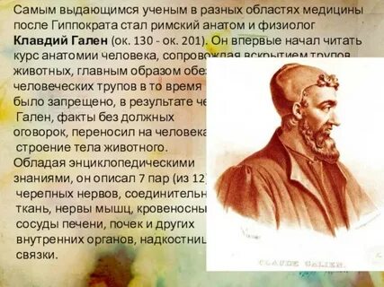 Ученые анатомы