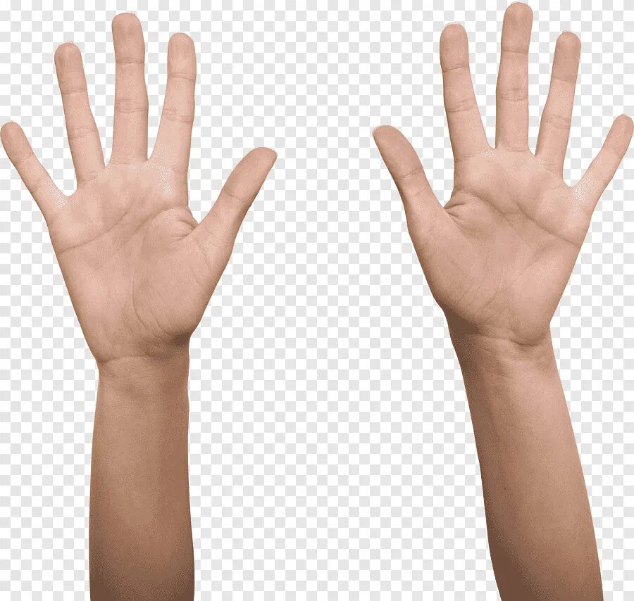Ладонь вверх. Человеческая рука. Руки поднятые вверх. Рука человека.
