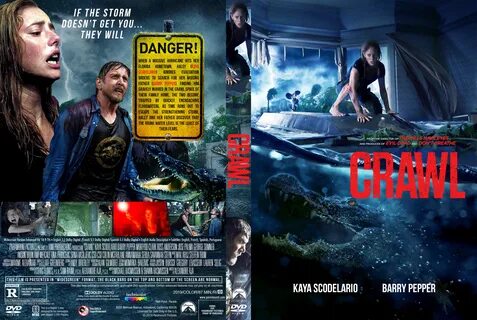 Dvd 2019