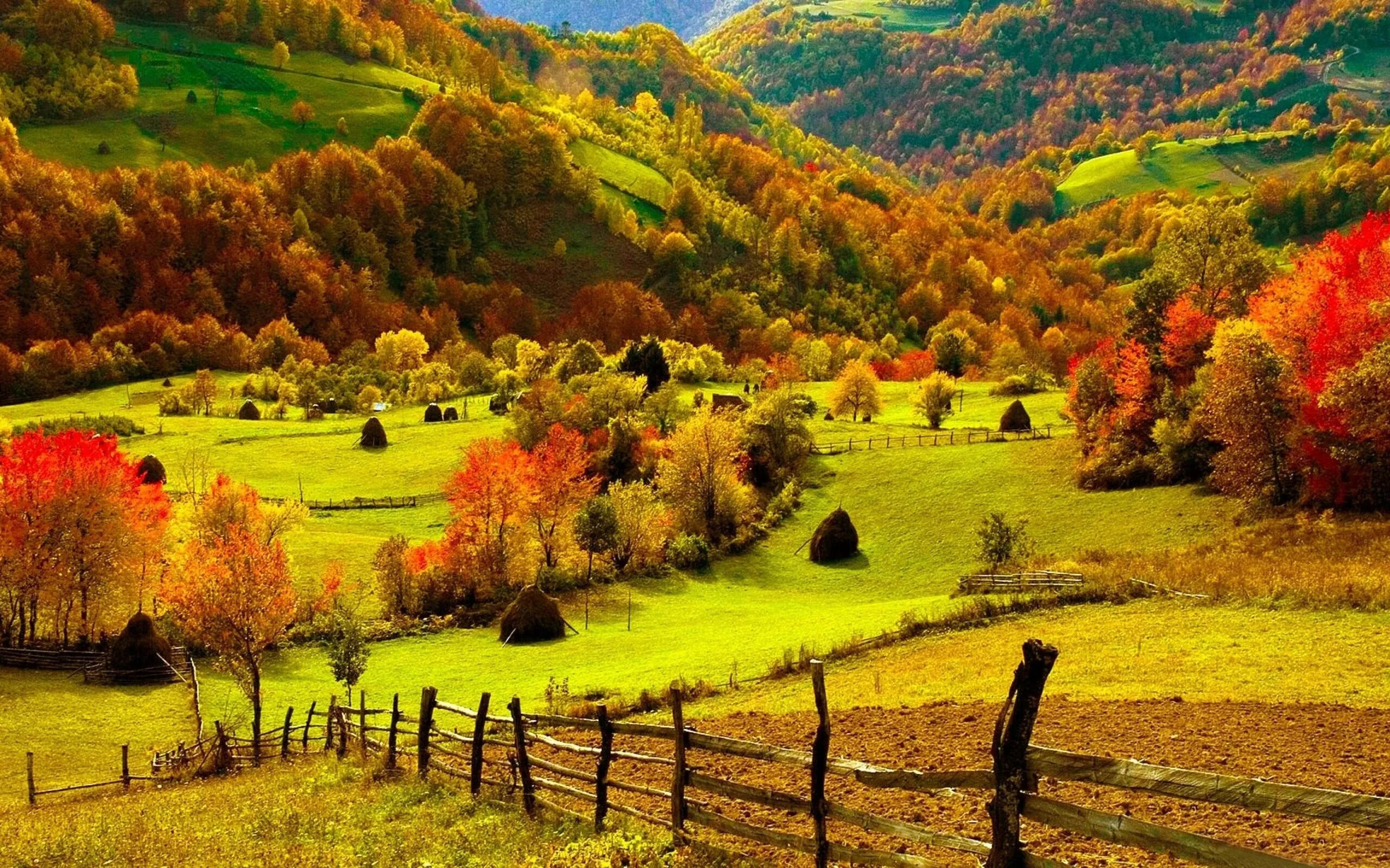 Scenery view