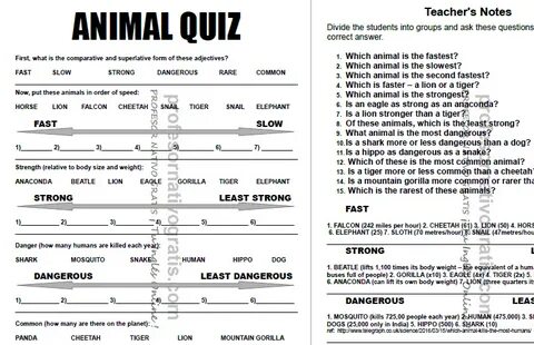 Compare answers