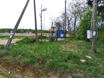 Погода в низино