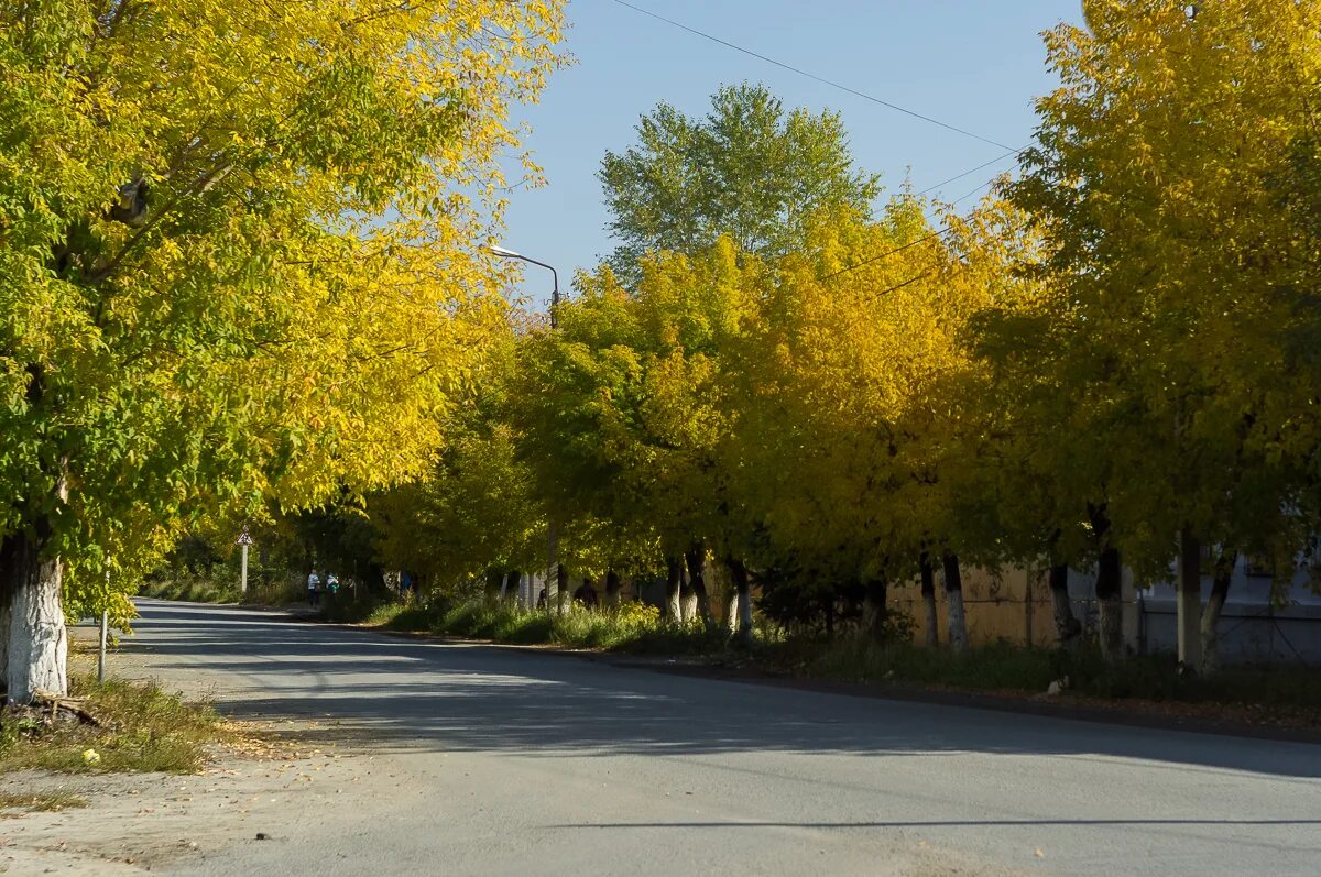 Ячменево шадринский район курганская область численность. Большие бакалды вишневые сады. Д ячменево шадринский район. Деревня ячменево печорский район. Шадринск природа.