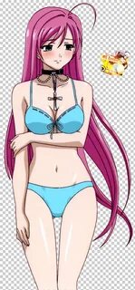 Bikini Moka Akashiya Rosario + Vampire Anime Ecchi - Anime cut out PNG clip...