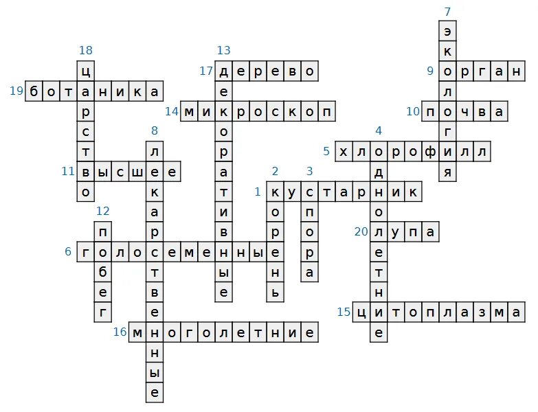 Кроссворд по классу птицы. Кроссворд по биологии 6 класс с ответами. Антропология кроссворд. Кроссворд классификация деревообрабатывающих станков. Кроссворд по технологии для девочек.