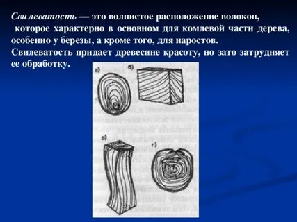 Древесина волокна какая ткань