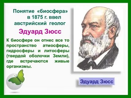Биосфера это