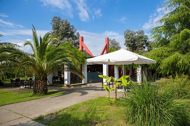 самшитовая роща пицунда. самшитовая роща люкс студия. ресторан абхазия санаторий самшитовая роща. самшитовая роща ул гочуа 7. самшитовая роща ул гочуа 7.