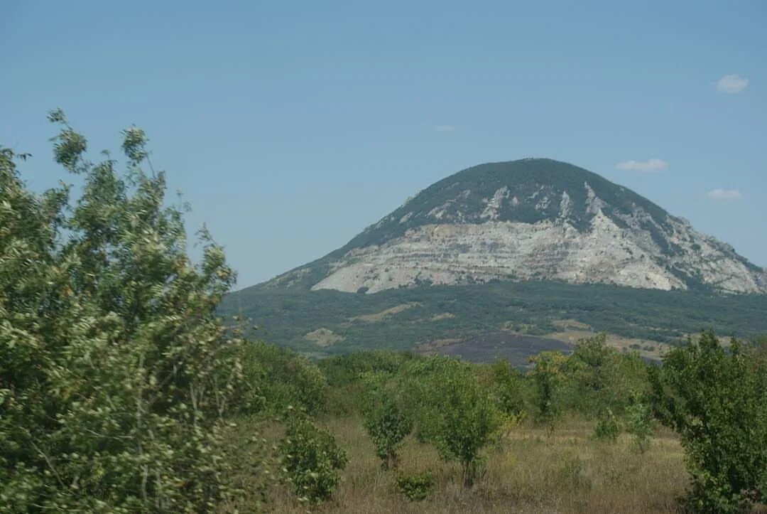 Змейка пятигорск