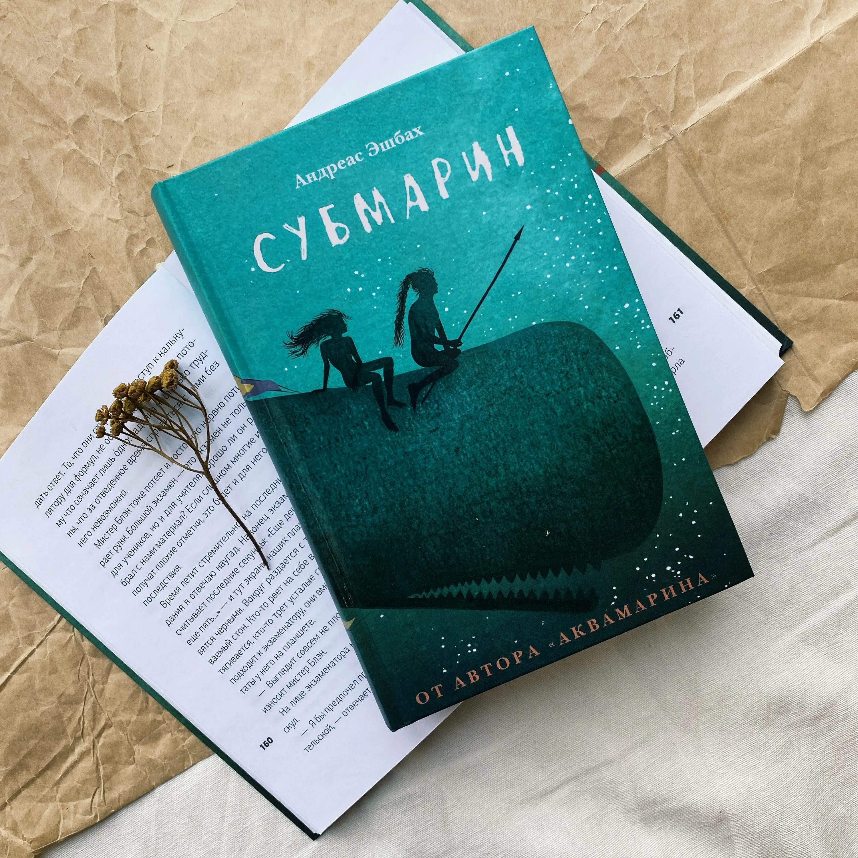 Компасгид. Компасгид