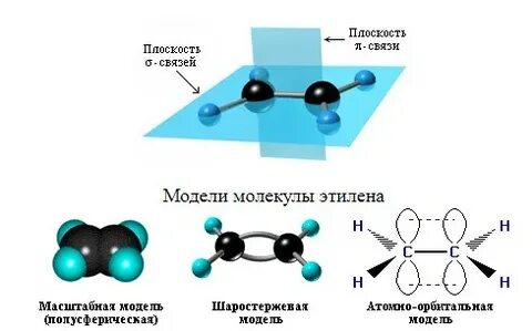 Молекула алкена состоит из 9 атомов