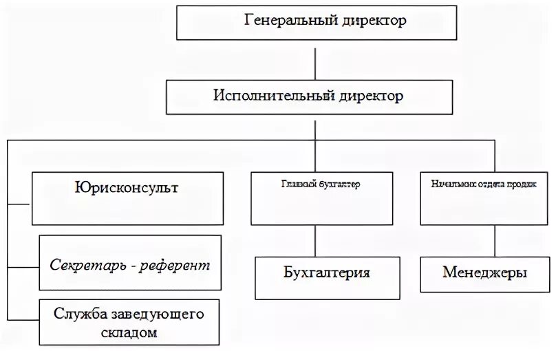 Директор и генеральный директор отличия. Организационная структура ООО вектор. Структура предприятия с исполнительным директором. Исполнительный директор схема. Структура компании с исполнительным директором.