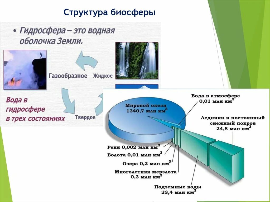 Структура биосферы. Биосфера и ее структура. Строение биосферы схема. Структурные элементы биосферы. Структура биосферы 9 класс биология