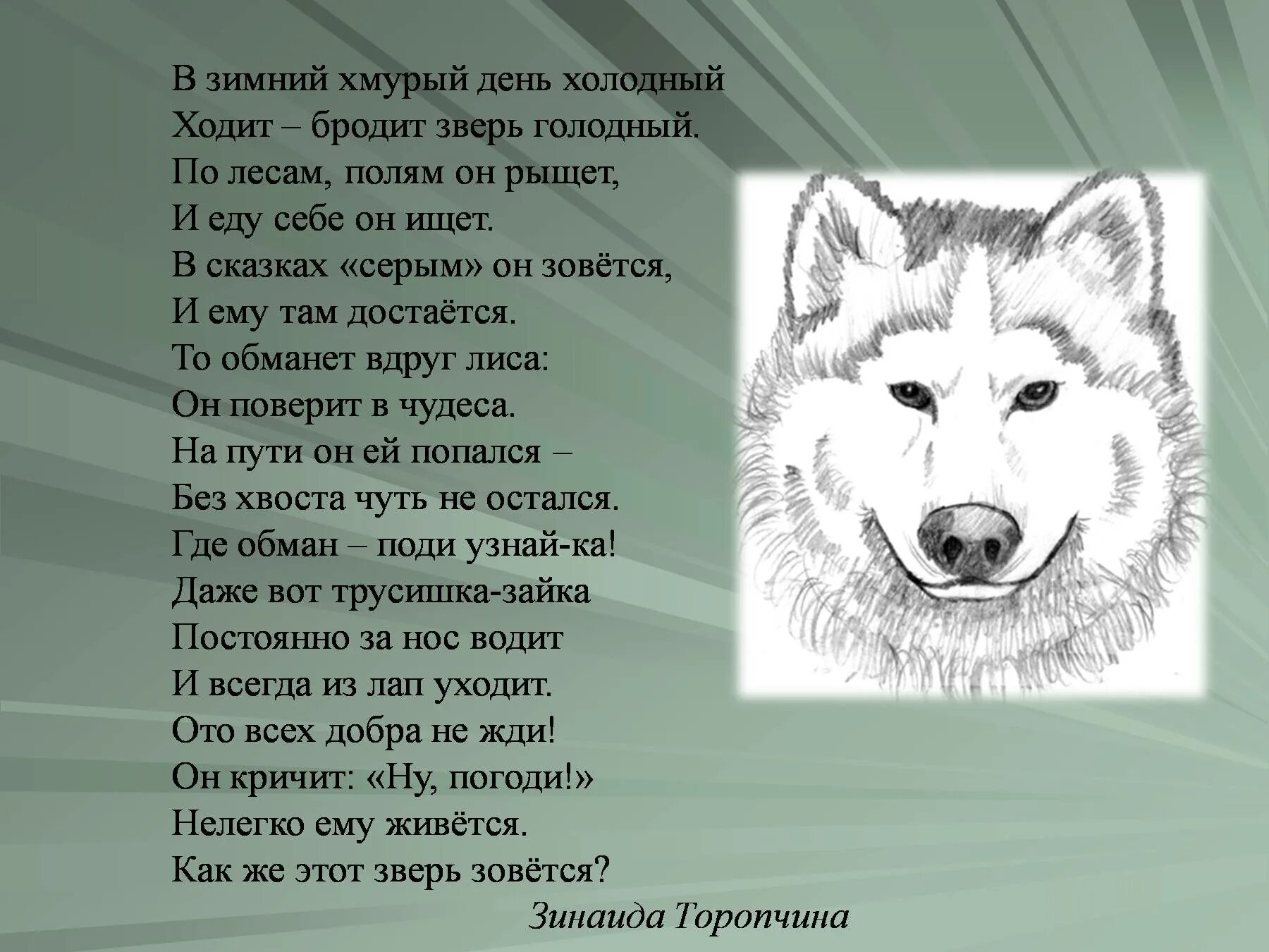 Презентация на тему волк. Презентация про волка для дошкольников. Статья про волка. Волк презентация 4 класс.