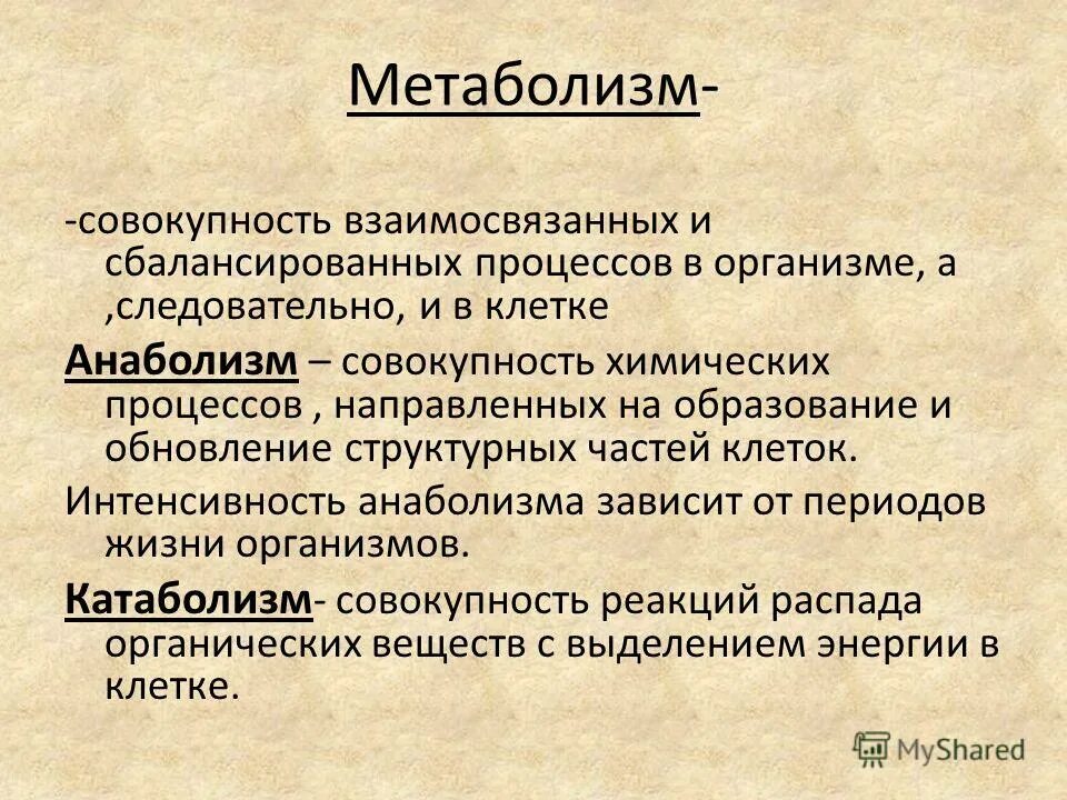 Состояла из нескольких взаимосвязанных. Анаболизм. Процессы анаболизма. Метаболизм. Процессы катаболизма и анаболизма.