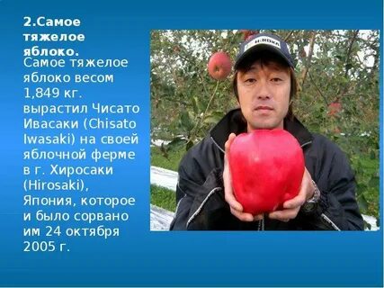 Самое самое яблоко