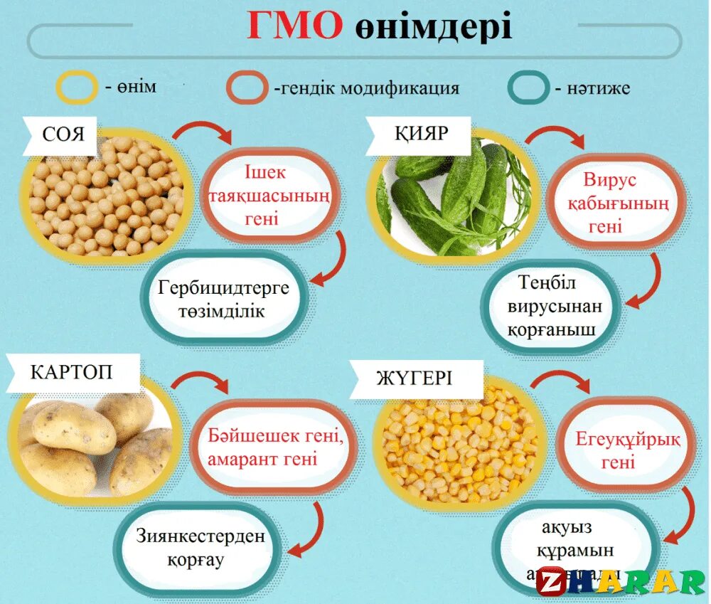 Решение сою