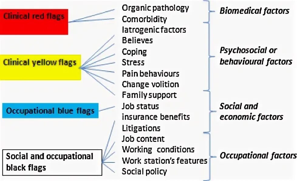 Go along the ecological trial. Pre return. Pre return. Drills чтение английский. Low back pain red flags.