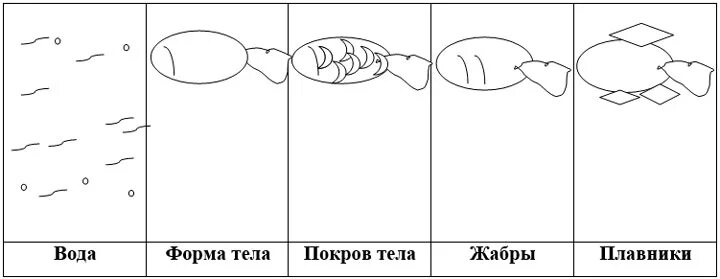 Схема рассказа о рыбах для дошкольников. Модель рыбы для дошкольников. Графическая модель рыбы для дошкольников. Схема описания рыбы дошкольниками.