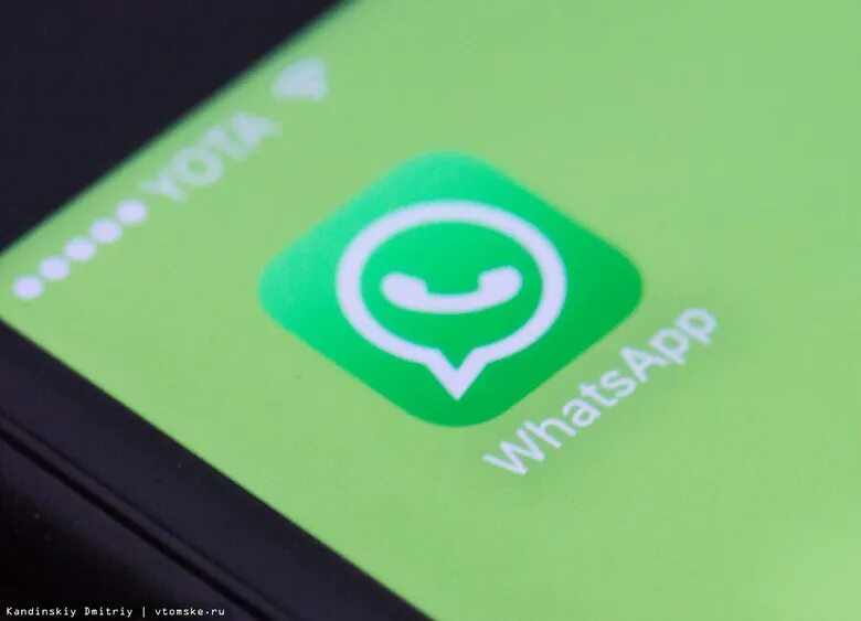 Whatsapp начать работать. Whatsapp начать работать