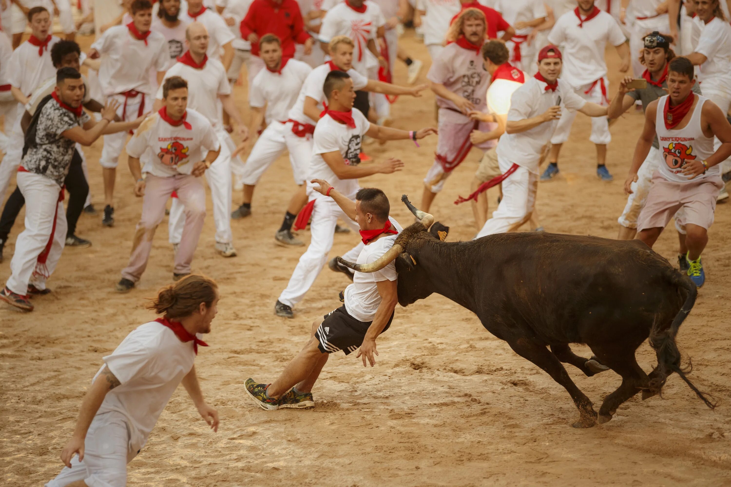 Побег от быка. Фестиваль Сан Фермин Испания.