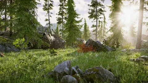 Environment rus
