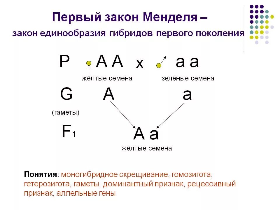 Генотипы родительских форм