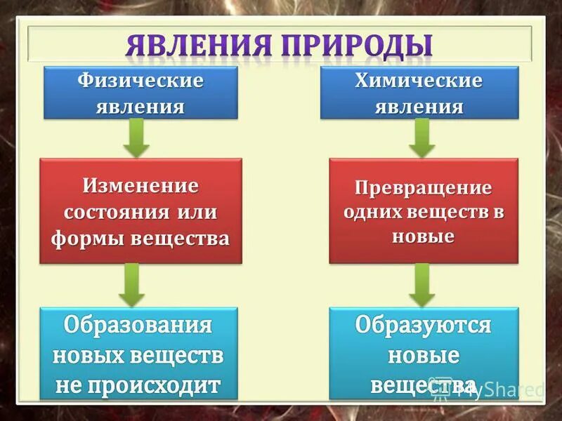 Явлениями называется физика