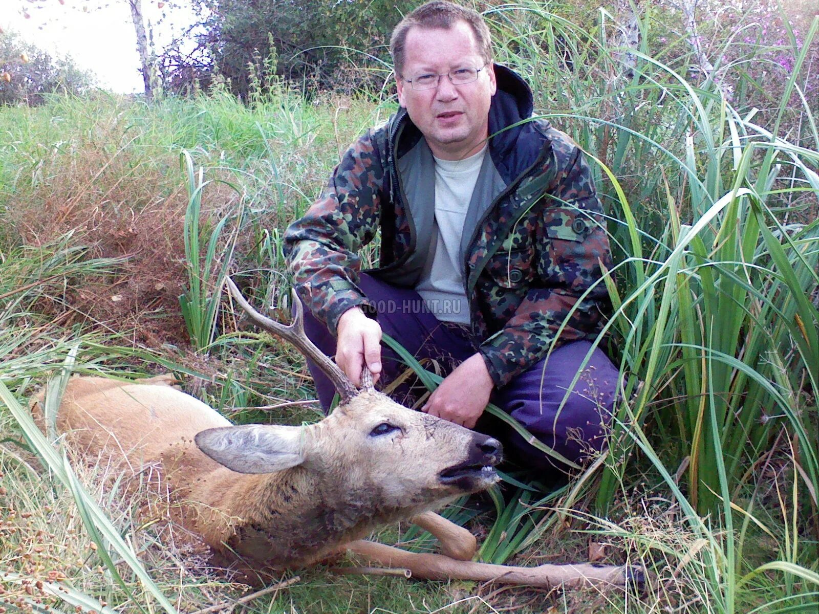 браконьерство сибирские косули. косуля с подхода зимой. косуля с подхода зимой. косуля с подхода зимой. селемджинской популяции сибирской косули.