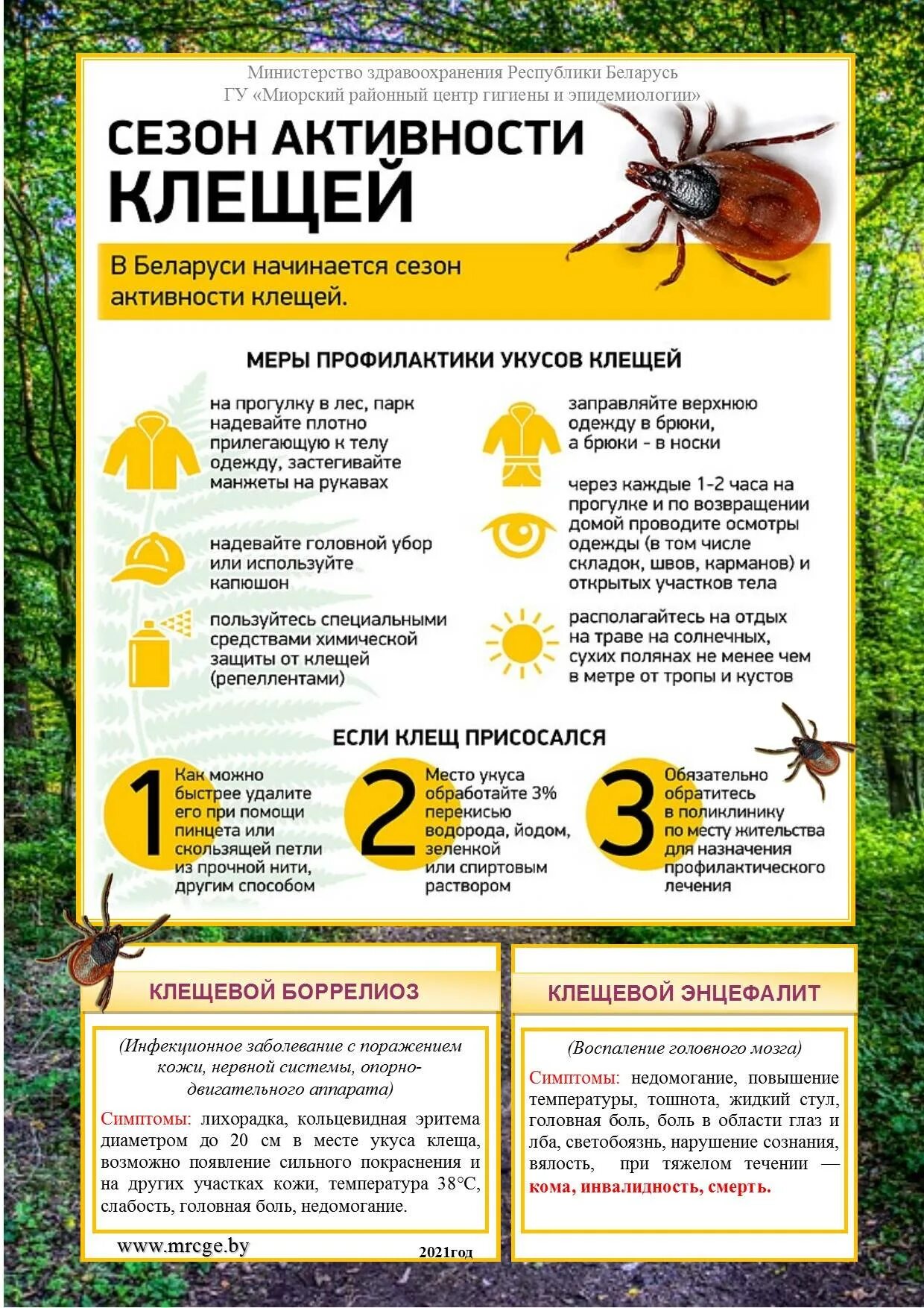 Активность клещей по месяцам. Клещ памятка. Памятка про клещей. Памятка клещи.