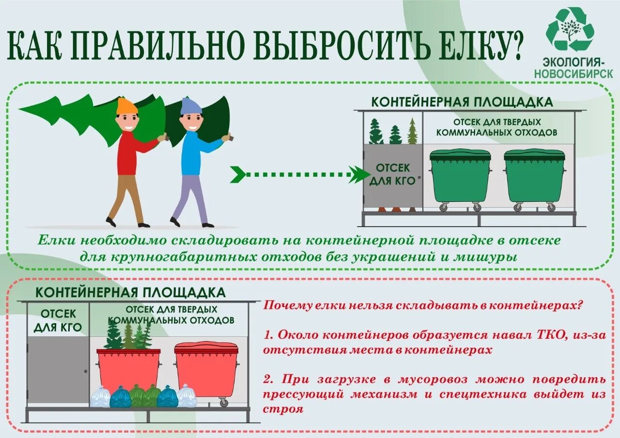 Как подготовить елку к утилизации. Как подготовить елку к утилизации